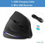 Souris sans fil ergonomique élégante avec éclairage RGB