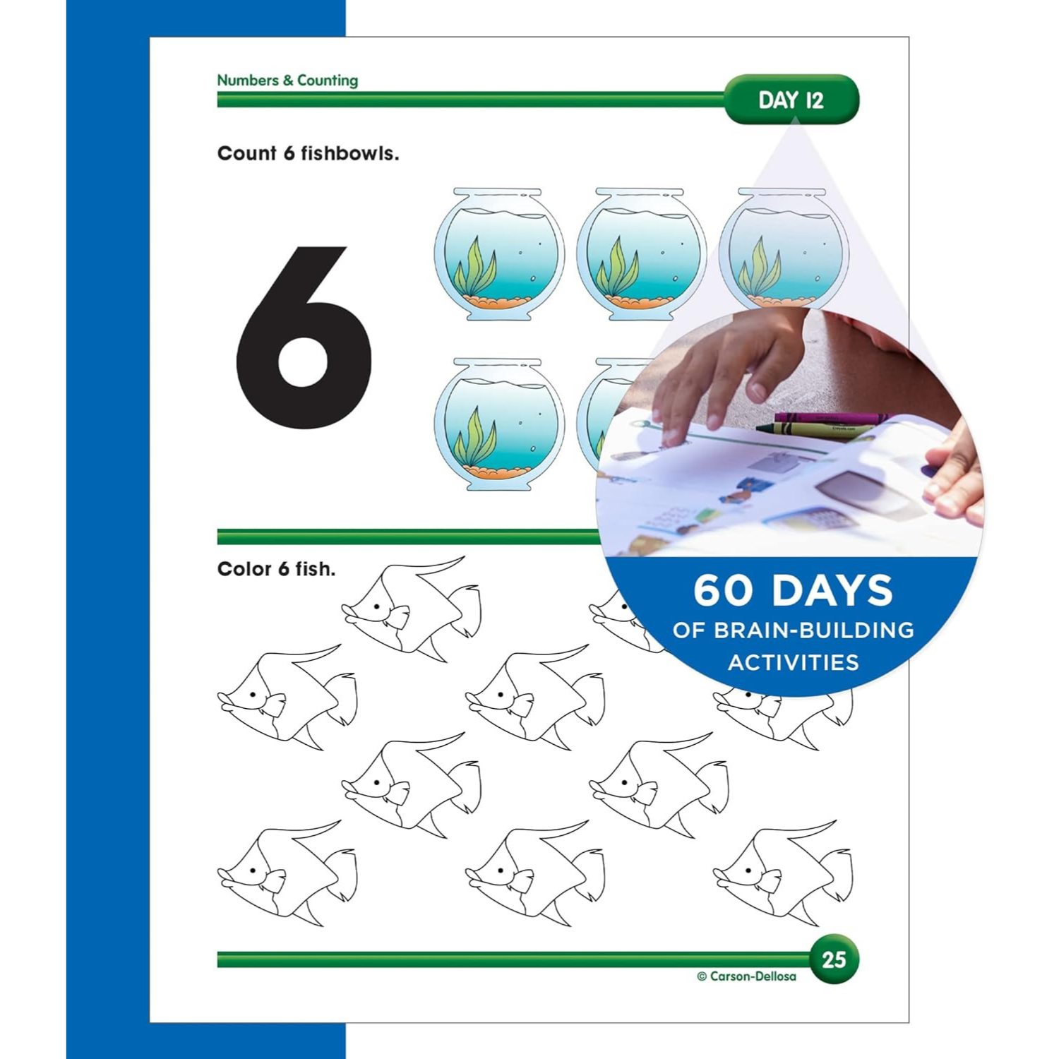 Summer Bridge Activities PreK-K Workbooks, Ages 4-5 (Spiral Bound) - Korvel