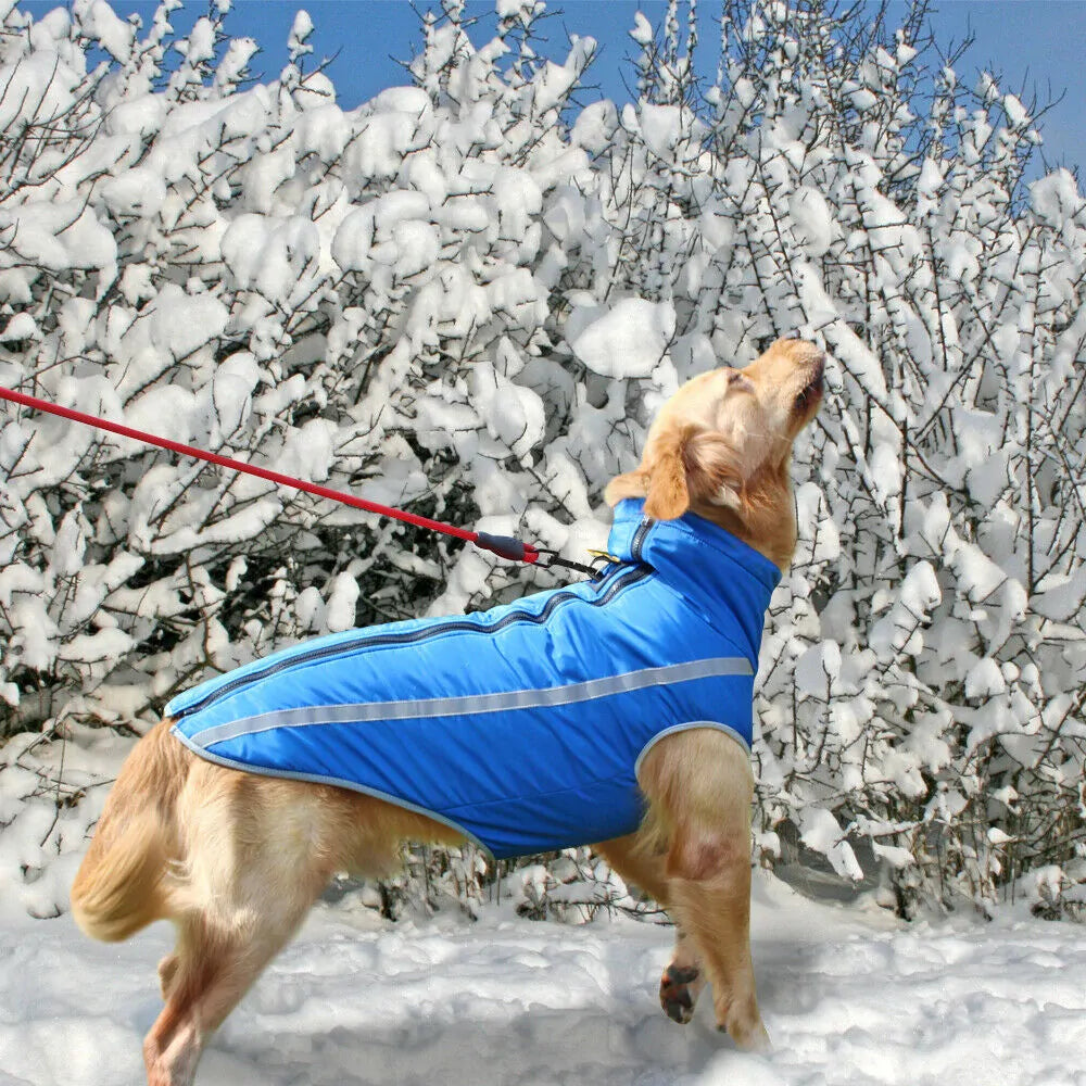 Abrigo Impermeable Premium para Perros de Grandes Razas