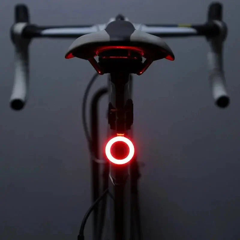 Versatile LED Bike Tail Light