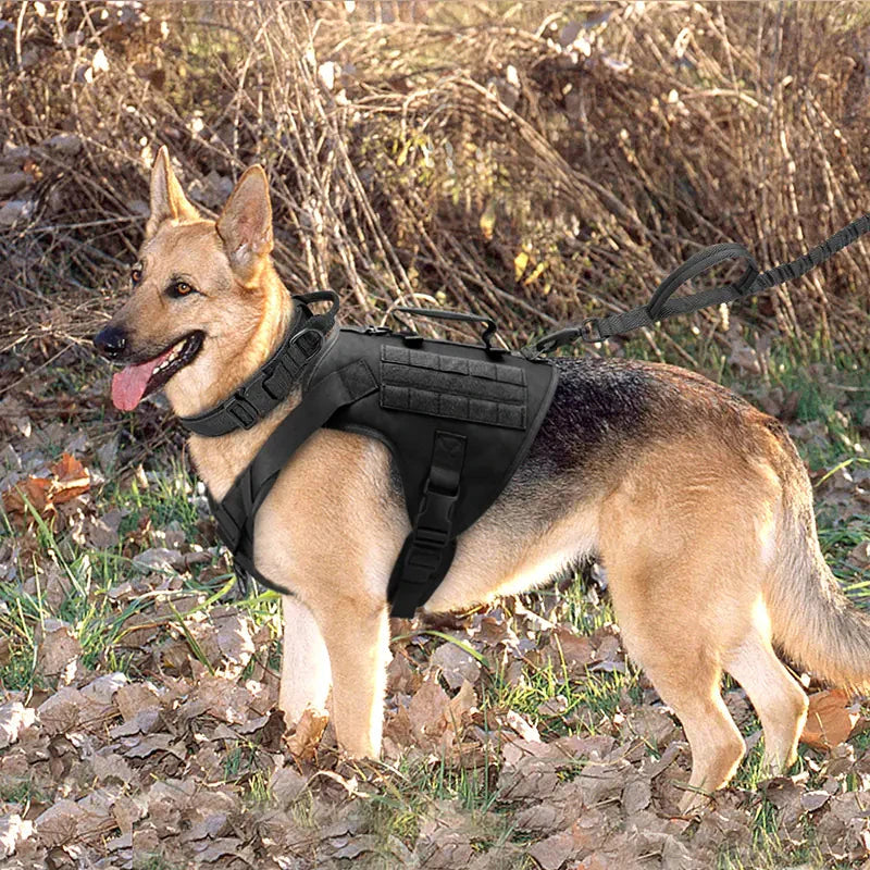 Gilet Harnais Tactics K9 pour Chiens