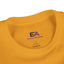 Tail Up, Move On Youth Tee – Small Human, Big Attitude