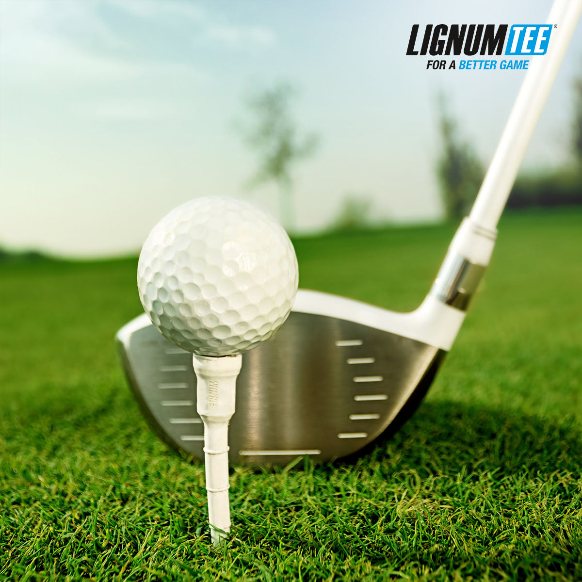 Lignum Tee - Tee de Golf Ecológico Clásico