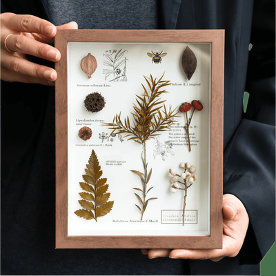 "The Botanist’s Journal" - Real Pressed Flower Art Frames