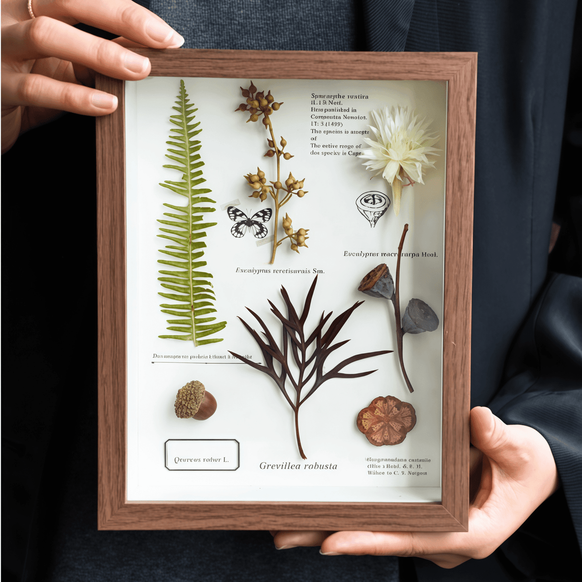 "Le Journal du Botaniste" - Cadres d'Art de Fleurs Pressées Réelles