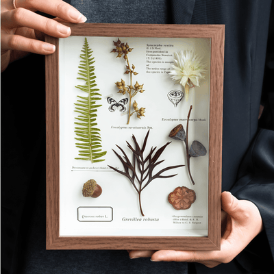 "The Botanist’s Journal" - Real Pressed Flower Art Frames