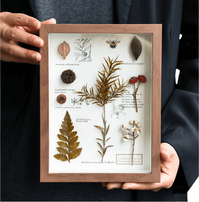 "The Botanist’s Journal" - Real Pressed Flower Art Frames
