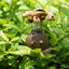 The Crazy Hair Seed Spirit Car Ornament