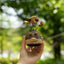 The Crazy Hair Seed Spirit Car Ornament