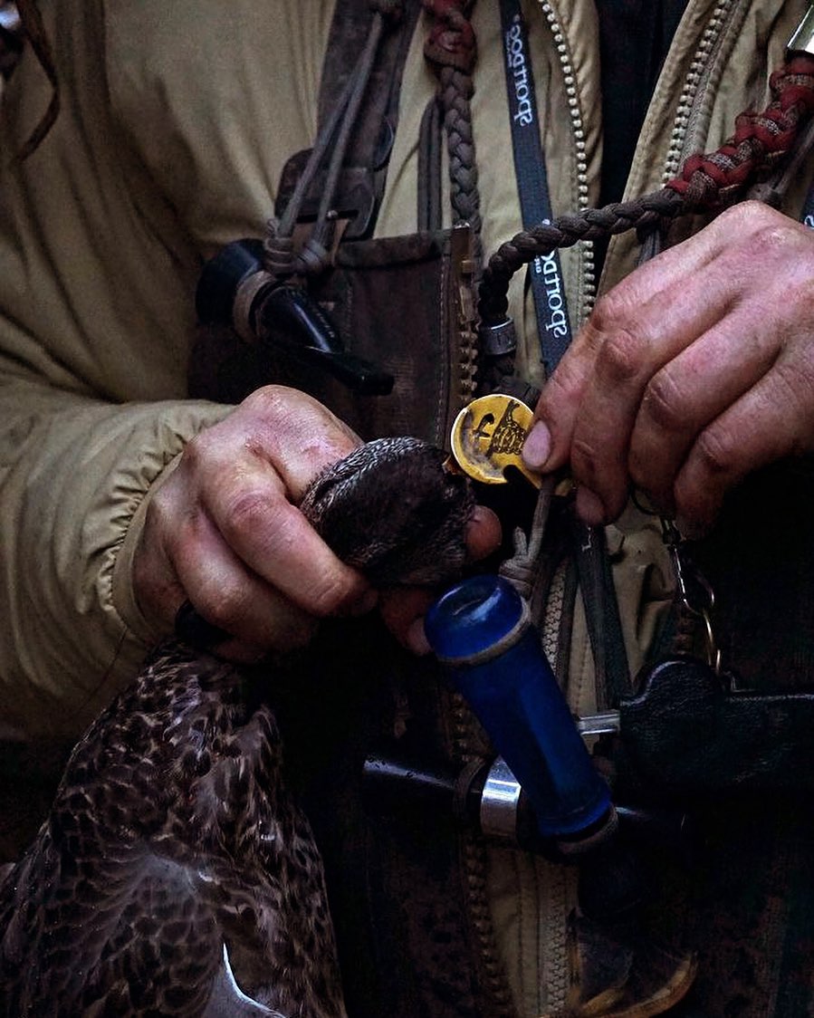 The Finisher | Small Hunting Tool