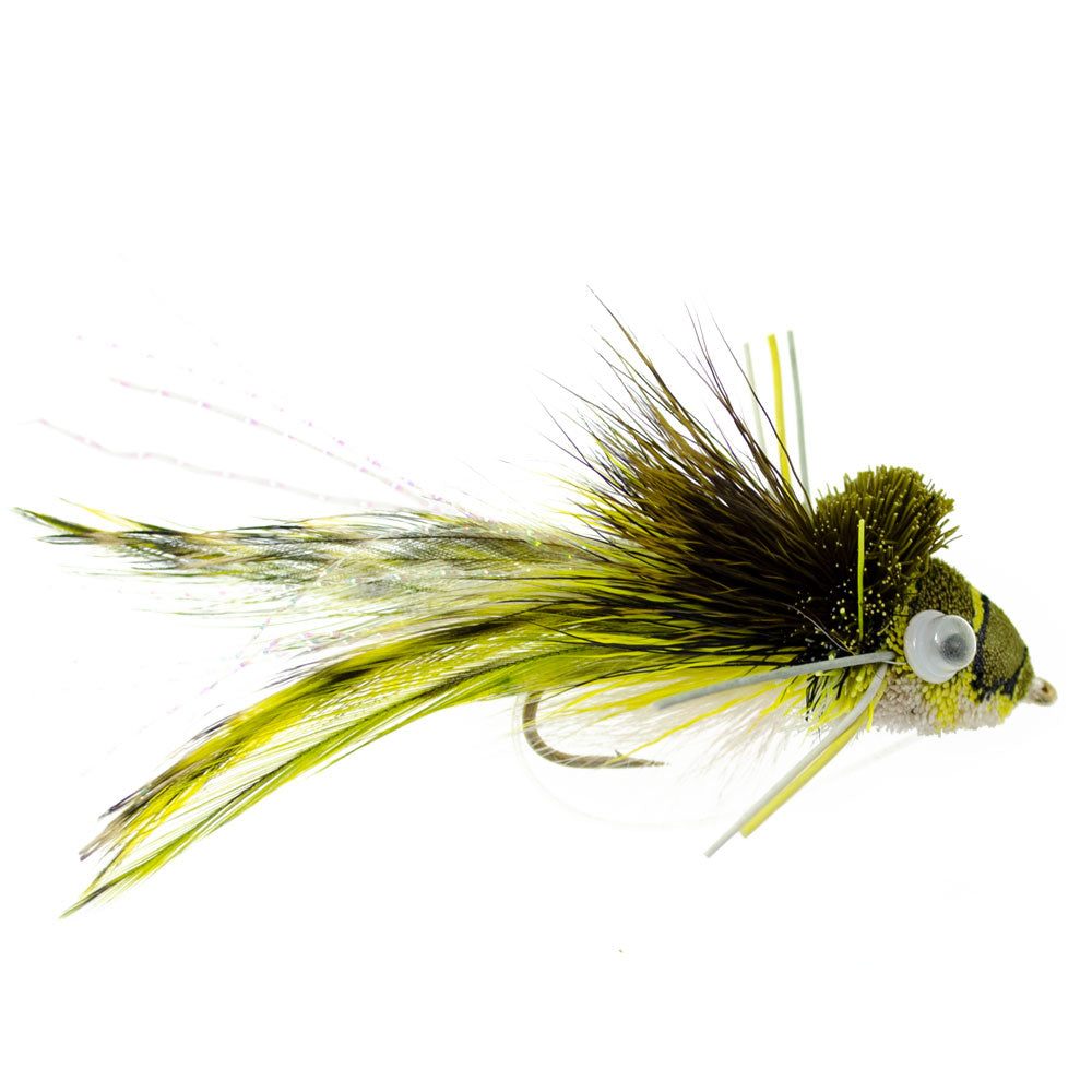Ultimate Bass Bug Fly Fishing Set - 12 Premium Poppers & Divers - Korvel