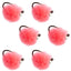 Hot Pink Tungsten Bead Tactical Euro Jig Barbless Nymph Flies - Size 16 (Pack of 6) - Korvel