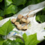 The Forest Harvest Ring - Natural Seed Cluster Charm