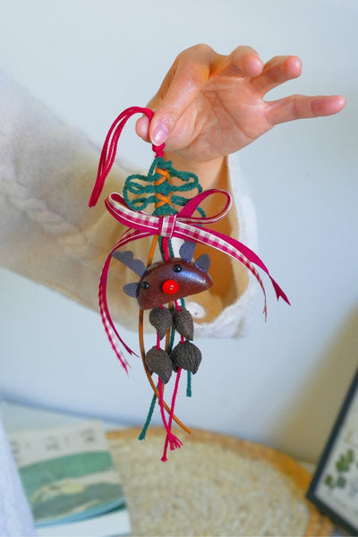 The Forest Holiday - Handcrafted Natural Nut Christmas Ornaments