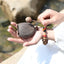 The Forest Woodblock - Handheld Natural Seed Percussion Instrument