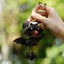 La Chauve-Souris de Fortune - Charme de Voiture en Coquille de Noix Fait Main