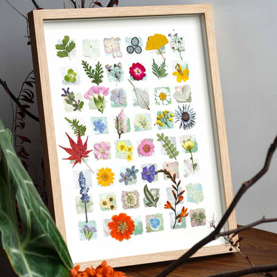 The Grand Botanical Mosaic - 48-Grid Real Specimen Shadow Box Art