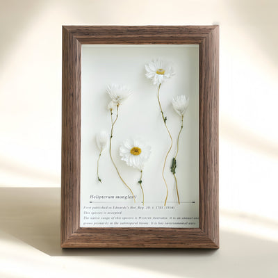 The Landscape Garden - Real Preserved Flower Shadow Box