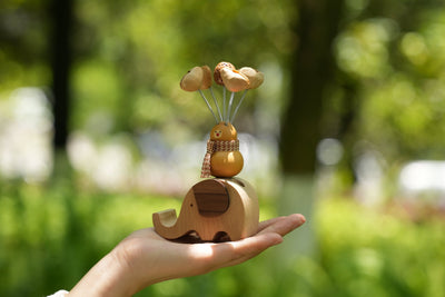 El Jinete de la Calabaza de la Suerte - Soporte para Teléfono de Calabaza Real y Elefante de Madera
