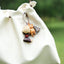 The Naptime Kitty - Hand-Carved Wooden Cat Charm with Natural Seeds & Tassel
