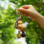 The Naptime Kitty - Hand-Carved Wooden Cat Charm with Natural Seeds & Tassel