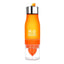 Travel Infuser Fruit Juice Bottle - 650ML