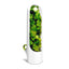 Conteneur de stockage de cuisine portable pour herbes et légumes