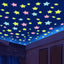 Premium 50pcs 3D Glow In The Dark Star Wall Stickers