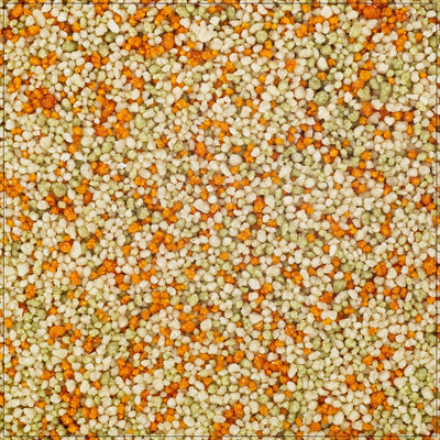 Tri Color Pasta Couscous - Korvel
