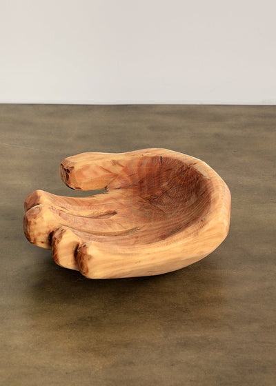 Sculpture de bol en bois d'eucalyptus naturel à main en coupe