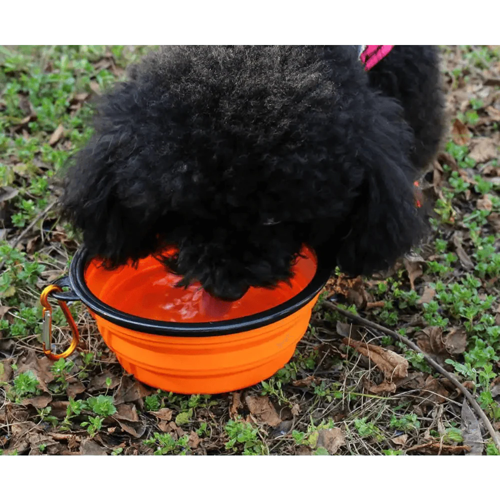 Collapsible Silicone Dog Bowl - Portable Travel Feeder