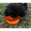 Collapsible Silicone Dog Bowl - Portable Travel Feeder