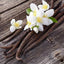 Vanilla Bean Infused Honey