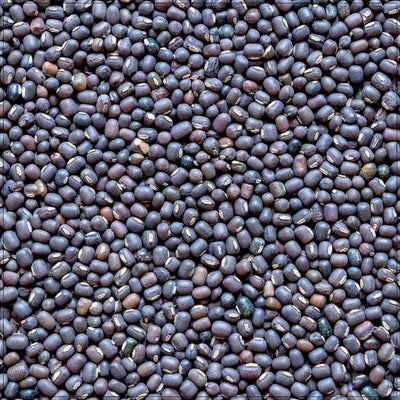 Premium Urad Dal - High-Quality Lentils