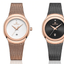 Montre en acier inoxydable élégante pour femme avec bracelet tressé