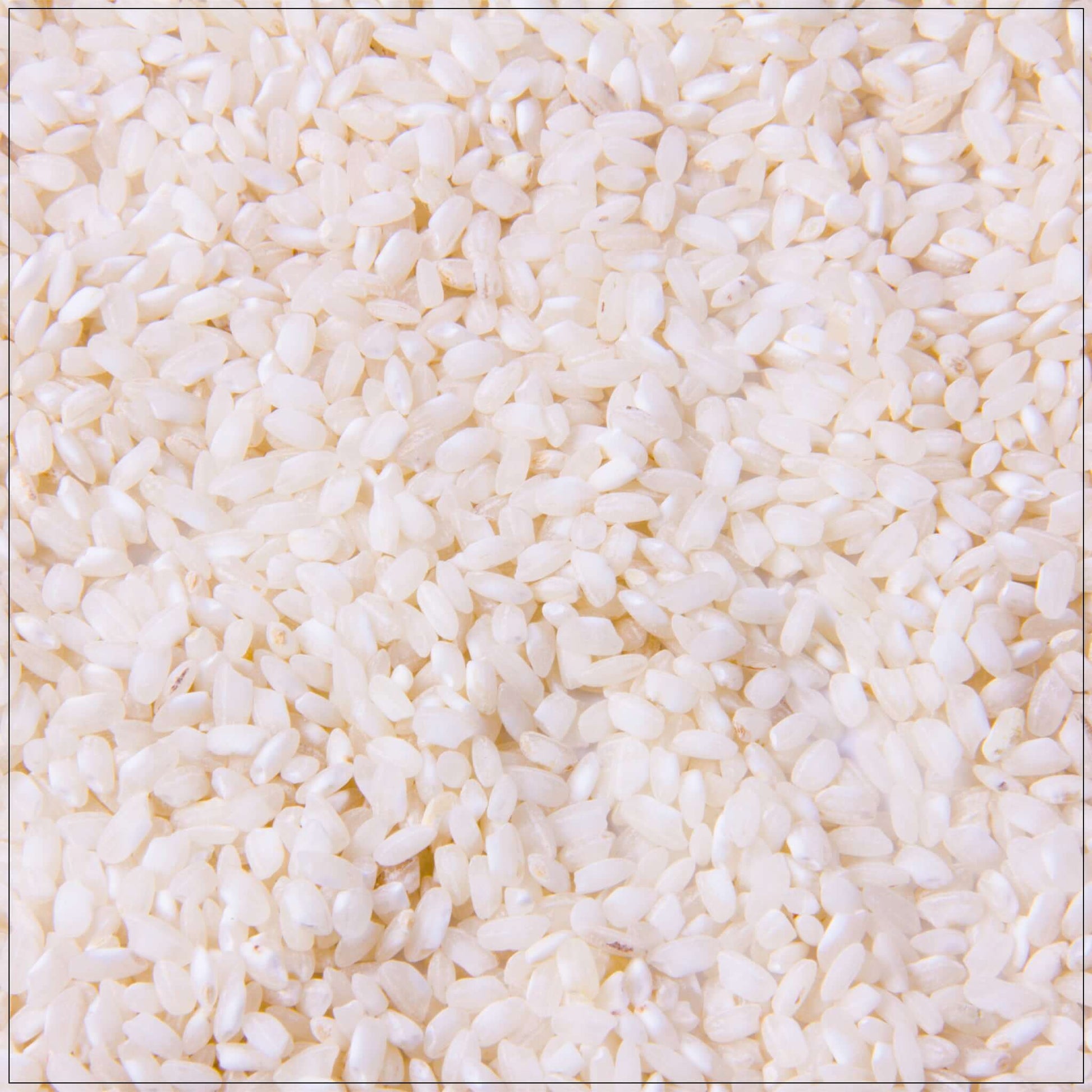 Valencia Rice - Korvel
