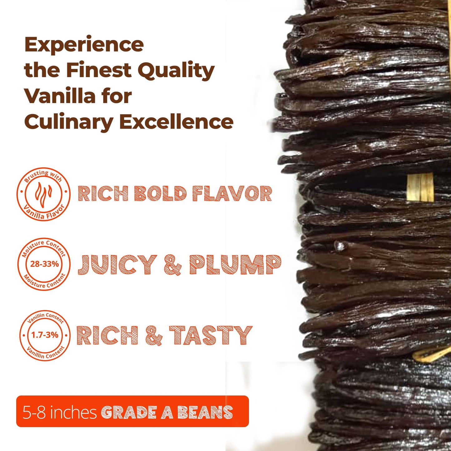Premium Ugandan Vanilla Bean Pods – Bulk 1 lb