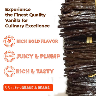 Premium Ugandan Vanilla Bean Pods – Bulk 1 lb