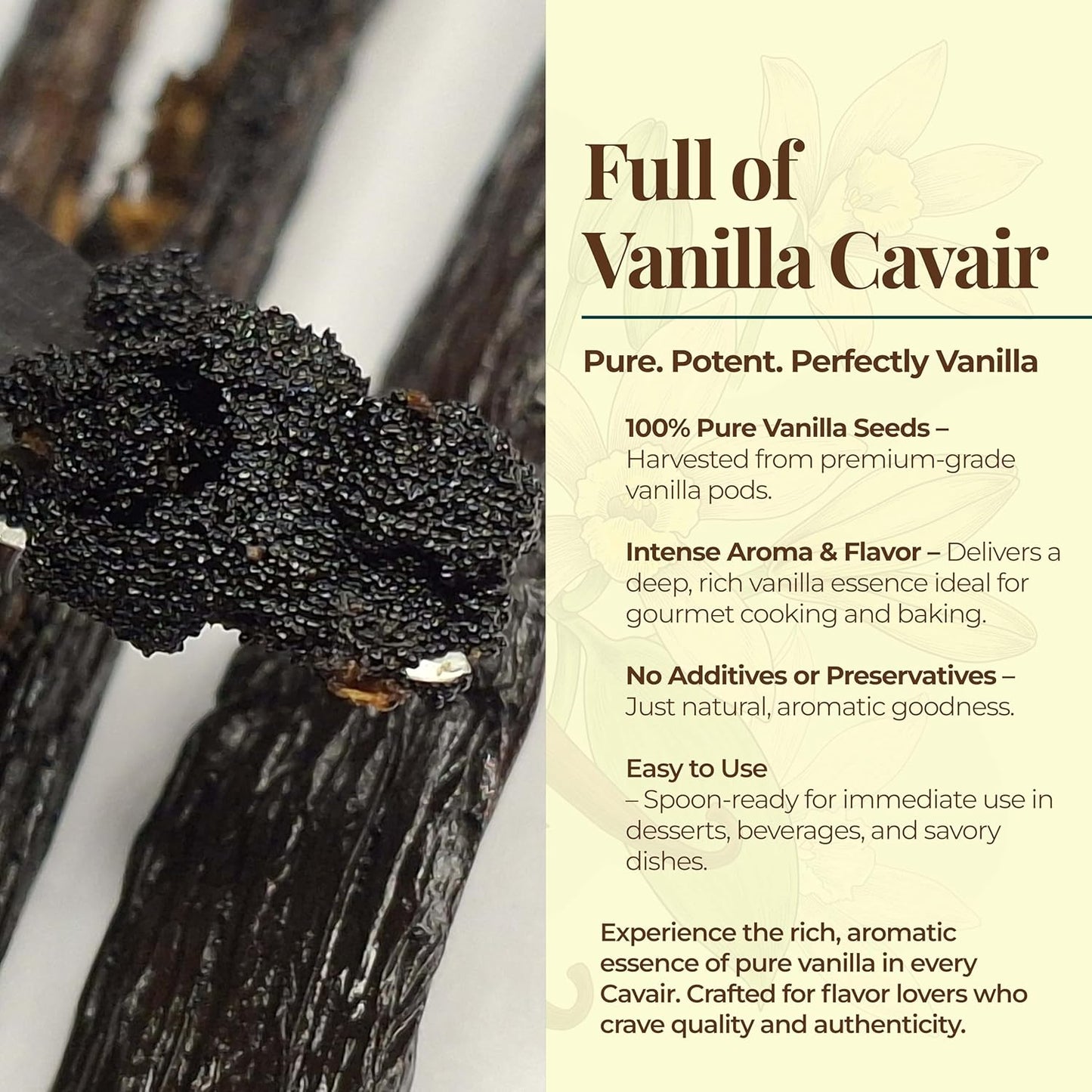 Premium Ugandan Vanilla Bean Pods – Bulk 1 lb