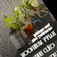 Café Cold Brew concentrado Happy Mushroom