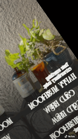 Café Cold Brew concentrado Happy Mushroom