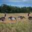 Ultra-Realistic VIVID Series Decoys for Hunters - Korvel