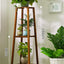 Elegant Multi-Tier Indoor Plant Stand for Living Rooms