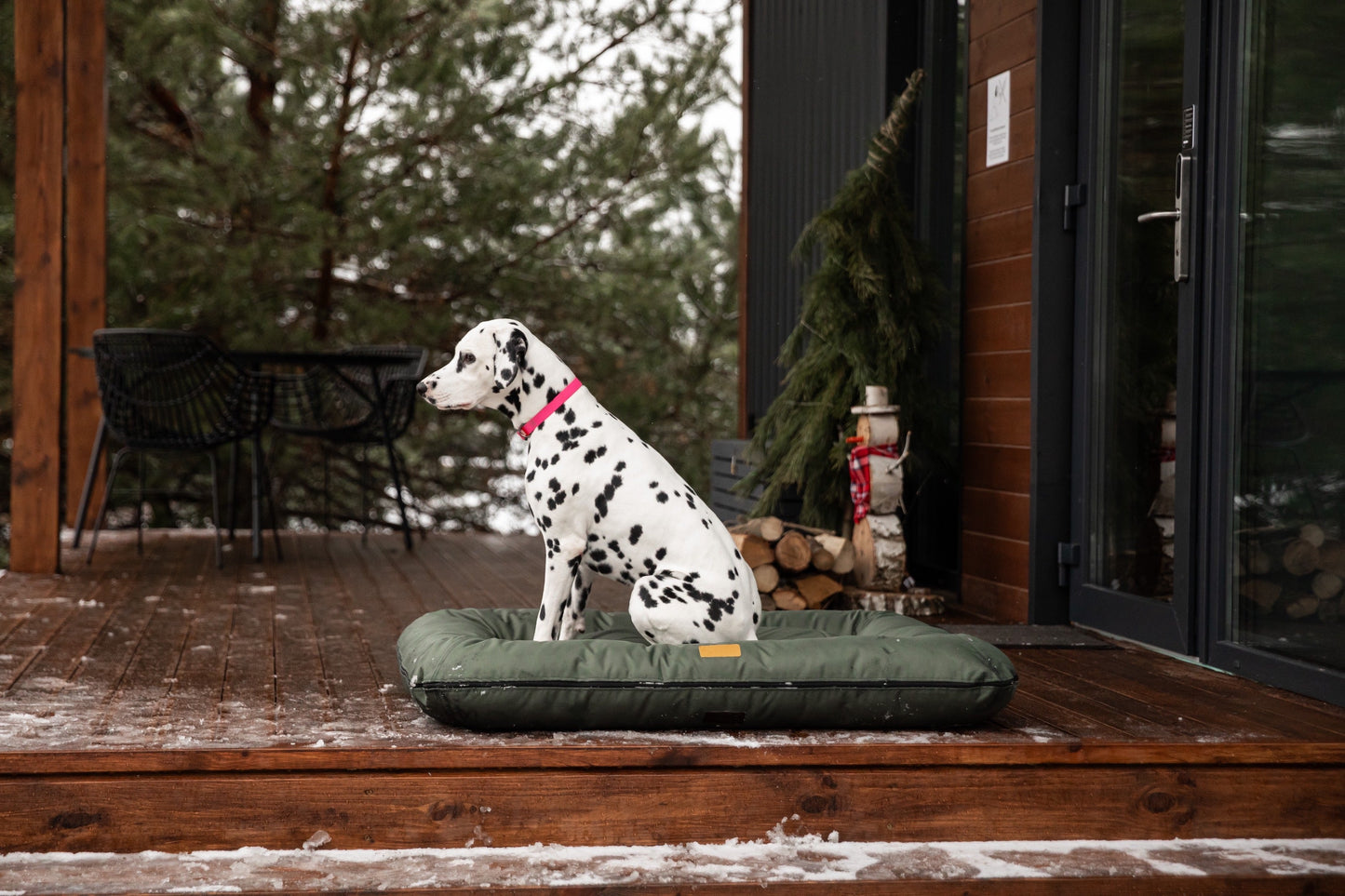 Lit de détente imperméable écologique pour chiens - Vert