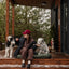 Lit de détente imperméable écologique pour chiens - Vert