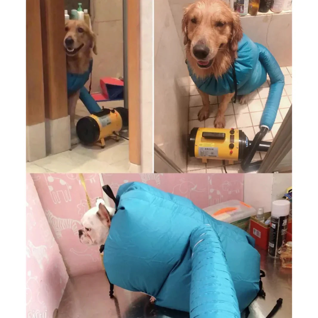 Kit de Sèche-Cheveux pour Chiens Premium pour un Toilettage Sans Effort