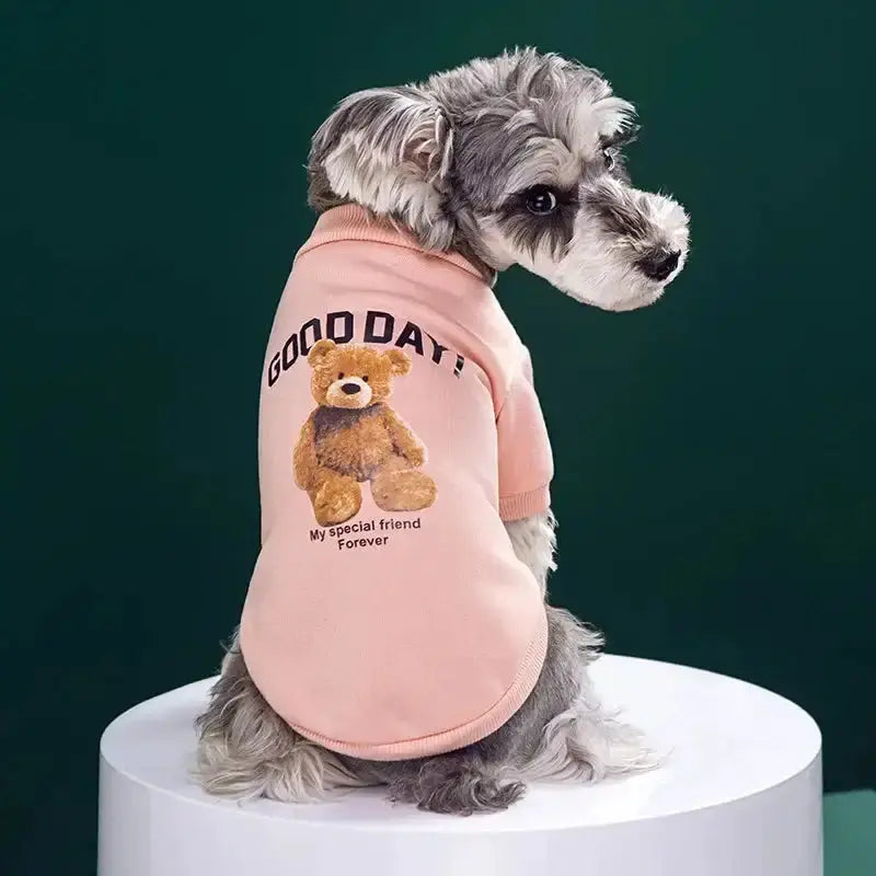Bear Embrace Pullover for Pets
