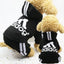Cozy Casual Dog Hoodie for Ultimate Comfort