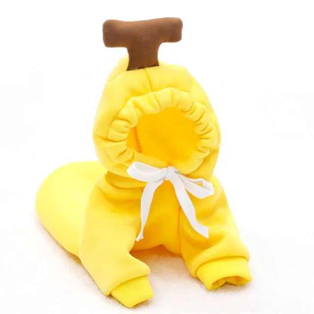Manteau d'hiver pour chien à thème fruité