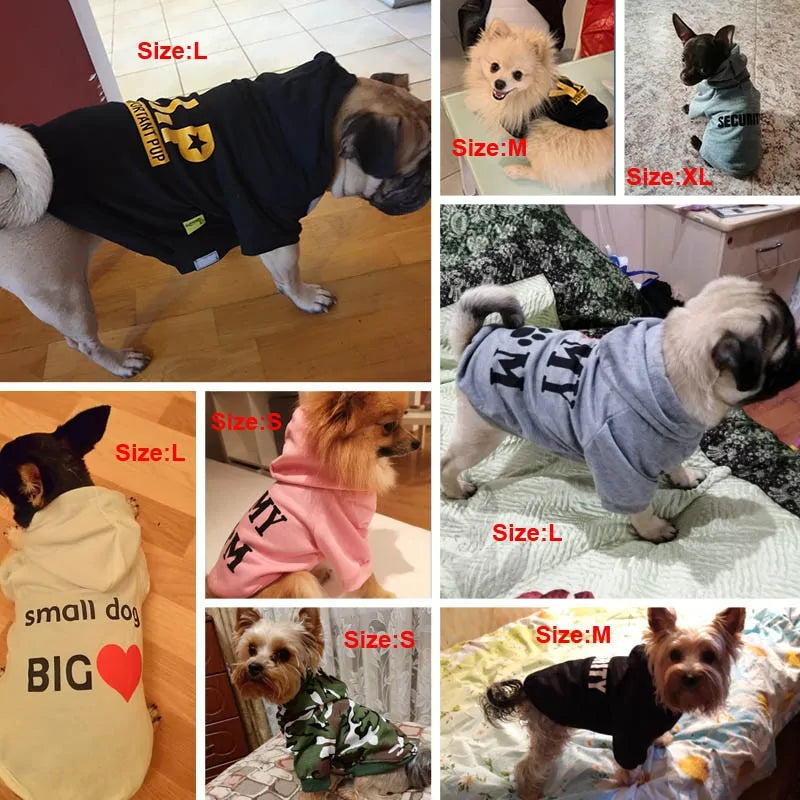 Sudaderas Elegantes para Mascotas para Cada Ocasión